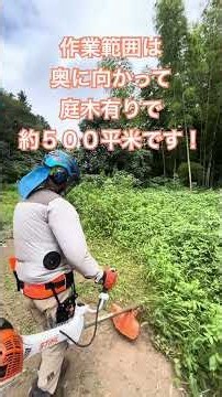ＦＳ５６１でナイロンコード草刈りです！ #草刈り #fs561 #茨城県草刈り業者