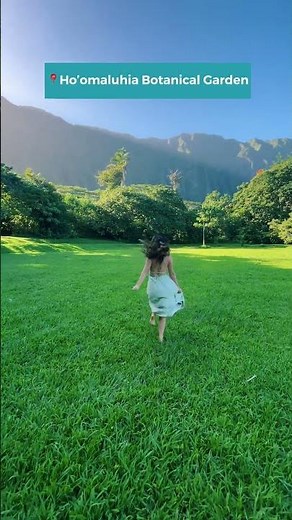 Oahu's 4 Must-See Botanical Gardens: A Floral Paradise Awaits
