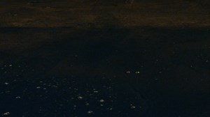 STOMP is explosive, inventive, provocative, witty and utterly unique. The troupe uses anything that can be shaken, rattled or rolled to create an unforgettable experience. Don't miss this international sensation Dec 26 - 28 at Straz Center - perfect timing for holiday fun! | Straz Center for the Performing Arts