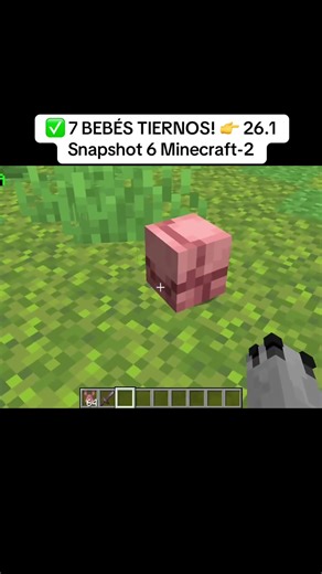 7 Adorable Babies in Minecraft Snapshot 26.1