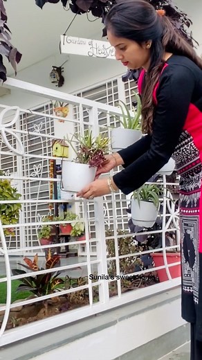 24K views · 294 reactions | Easy Plant Hanger DiY | Sunila’s sweet home | Facebook