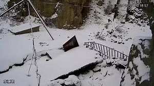 13K views · 144 reactions | Good morning from Lhasa, #China. Snow Leopard (雪豹) is under top-class state protection. Estimated population in Tibet (Xizang) autonomous region alone is 2,700. ❤❤❤ #Chinese #nature #birds #wildlife #神奇动物在西藏 #beauty #beautiful #love | Lin hillside | Facebook