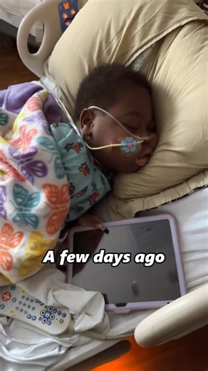 64K views · 3.3K reactions | Why Jailyn's mother resolutely refuse Cardi B to attend Jailyn's funeral? The truth behind this is touching.#celebrity #usa #fyp #cardib # | Fun hub73873 | Facebook