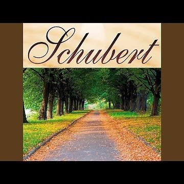 Momento Musical Op.94 Nº3 D.780 - Schubert