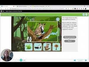 Virtual Lab How do Organisms Interact in an Ecosystem?