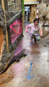 158K views · 5.3K reactions | One of my favorite parts of taking care of all these amazing animals is watching how happy and excited they are when eating! Makes me feel like a super mom! I'm not sure if I have a favorite. Some people like dogs and cats, but if you are a reptile person could you make a choice. So many beautiful ones! | The Reptile Zoo | Facebook