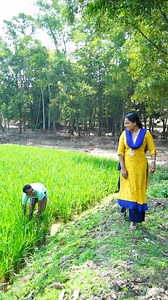 1.5M views · 10K reactions | কিরে দিবি নাকি...#best #comedy #comedyvideo #funnyshort #funnyreels #mathanosto | Matha Nosto | Facebook