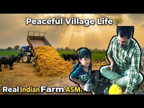 Peaceful Rural India Farm Life 🌾 | Tractor Unloading Hay + Cute Kid Moments | Real Village ASMR POV