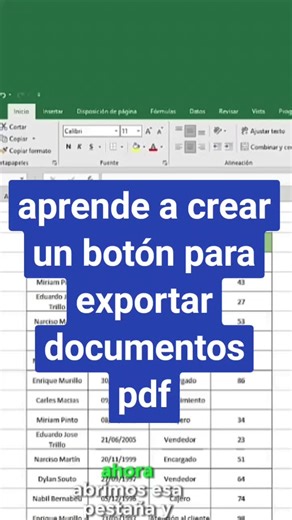 Crear un Botón para Exportar PDF en Excel