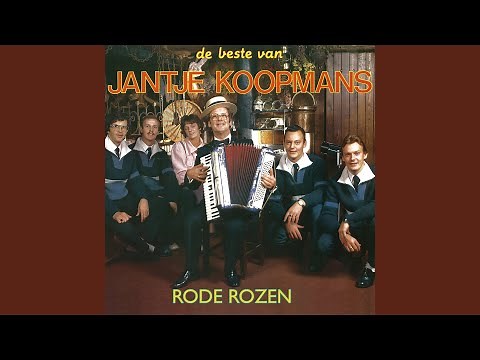 Rode Rozen