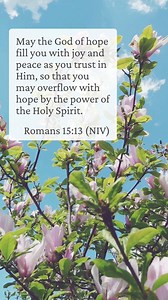 May the God of hope fill you with joy and peace as you trust in Him, so that you may overflow with hope by the power of the Holy Spirit. - Romans 15:13 (NIV) | Zondervan | Facebook