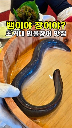 뱀이야? 장어야? 상위1% 괴물 장어맛집 #100년장어촌 #100년장어촌마곡본가 #마곡맛집 #발산역맛집 #마곡역맛집