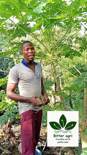 119K views · 2K reactions | Astuces pour les débutants, vous pouvez entrer ici même si vous n’êtes pas géomètre, mais à condition que vous aimiez la géométrie , abonnez vous, vous qui voulez apprendre. Bitter agri | Bitter agri | Facebook