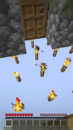 Minecraft But the World is TORCH!!!