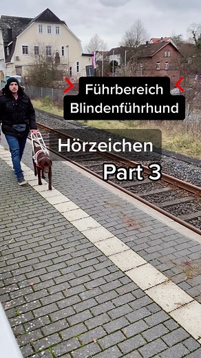 Training a Blind Guide Dog