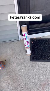 1.5K reactions · 81 shares | This is too funny! Send your friend a one of these Tube Mail Pranks. They are so big, there is no hiding from them!! Mailers are sent completely anonymously | Pete's Pranks | Facebook
