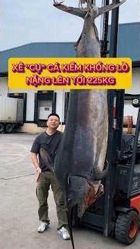 X.ẻ Thịt "Thủy Quái" Cá Kiếm 225kg: Sashimi Béo Ngậy & L.òng Cá Phá Lấu
