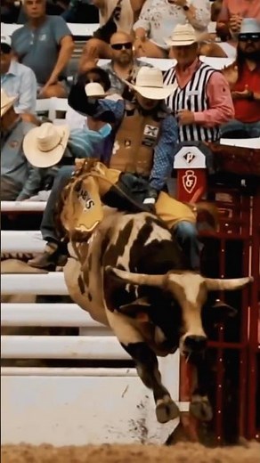 Lukasey Morris Takes on a Rank Bull at Cheyenne Frontier Days! 🤠🐂