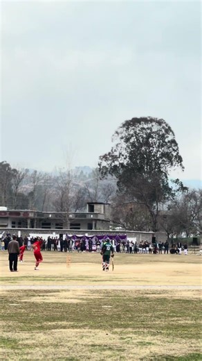 Out ya Not Out Empire call Out Comment please 🏏❤️‍🩹 #fypシ #foryou #repost #cricketlover