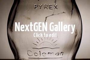 Coleman #550 Globes - International Coleman Collectors Club