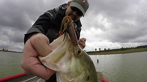 1.7K views · 80 reactions | Flippin crawfish for Winter bass. | BamaBass | Facebook