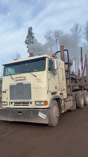 Nice way to end a Friday. #lastload #friday #logs #logger #trucking #cabover #fyp #fup #longlogs #patinaprincess #owneroperator #truxaccessories #nordic #tirechains #qccanada