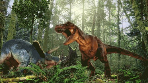 WANT TO DECORATE BIGGER? Grab the extra large version of AtmosFX’s Window Projection Material at $15 OFF – and now through December 19, 2025, get several massive individual decorations that look great on this mighty material at 50% off! atmosfx.com/sale | AtmosFX