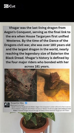 The BRUTAL History of VHAGAR: Aegon's War Machine to Daemon's Doom #gameofthrones #hotd