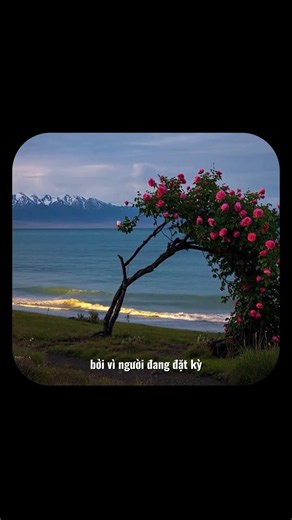 bạn đang đặt kỳ vọng quá nhiều #study #binhyen #studywithme
