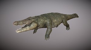Realistic Crocodile 3D Model - Rigged - Download Free 3D model by GAMICO