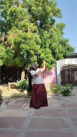 देखो देखो 🥹🤪 #viral #dance #shortvideo #trending #viralvideo 💃