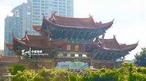 Where can you find spring? 🌸 Come to Kunming and you’ll know! Here, winters aren’t cold, summers aren’t hot, and flowers bloom all year round. 🌿🌺 Strolling through the streets, you’ll always see blossoms and greenery. In Kunming, every day feels like a perfect 20°C spring day—so comfortable you’ll never want to leave~ #BorderlessinEverydayLife #LifeInYunnan #Kunming #springcity #Yunnan | Harmony Yunnan