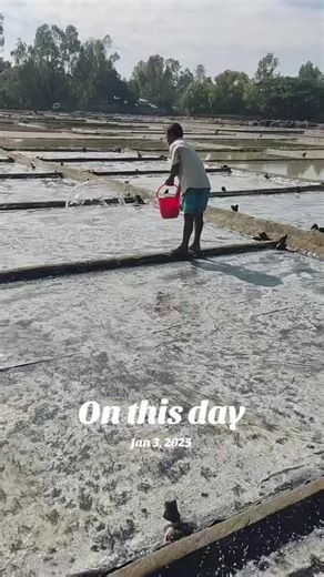 Recap of Significant Events on January 3