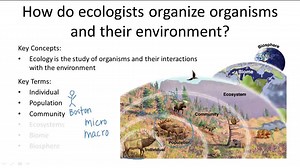 Levels of Ecological Organization - Overview ( Video ) | Biology