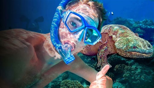 Watch the largest salamander on Earth hunt in total darkness