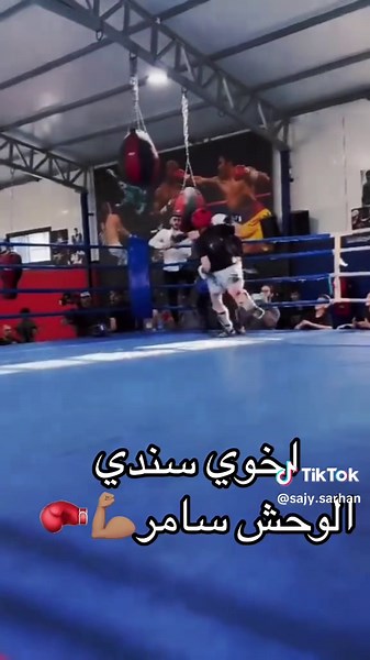 הסרטונים של sajy sarhan (@sajy.sarhan) עם الصوت الأصلي - sajy sarhan