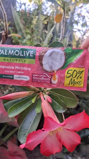 Sophia's performance output in Filipino Grade 4 #patalastas #Palmolive | Che RRyl