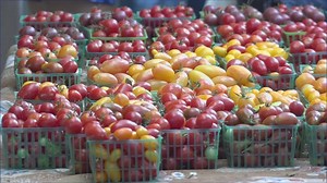 Families in need can now get more free money for fresh food