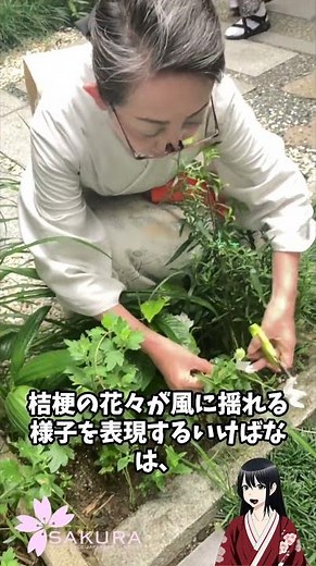 夏の風にそよぐ桔梗のいけばな #夏の花 #桔梗 #池坊 #いけばな #心の風景 #家族とのひととき #リフレッシュ #新しい一週間