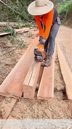 Sawing to the Line: The Timber Rule That Builds Centuries