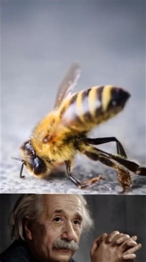 Sigma physics teacher 🗿 #shorts #sigmaphysics #physics#zarooratrishta #marriageproposals