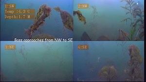 4.4K views | The new Aqua-Vu Quad HD camera in action in Northen Wisconsin! | Aqua-Vu | Facebook