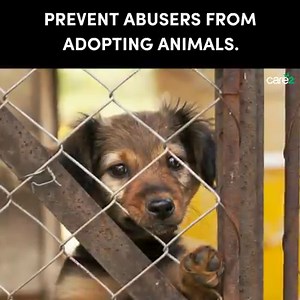 It is despicable that someone who has been convicted of animal cruelty can walk into a shelter and adopt a helpless animal. Sign the petition to demand to make it illegal for animal abusers to adopt animals is all 50 states! | Care2