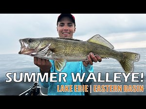 Lake Erie Walleye Fishing