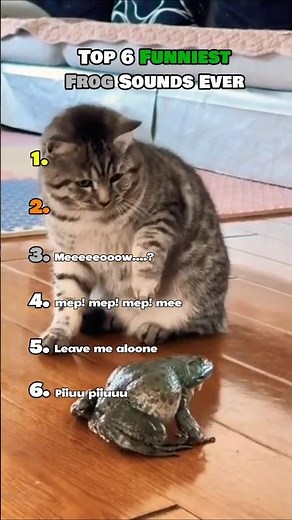 Top 6 Funniest Frog Sounds Ever