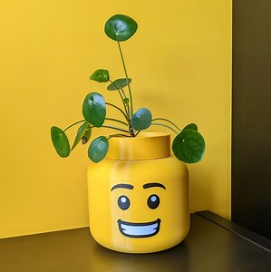 Lego head storage and planter #3DThursday #3DPrinting