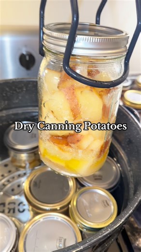 It’s Jenn Again🌱 on Instagram: "Dry Canning Potatoes! Also known as “Dry Packed”. #homesteading #itsjennagain #canning #canningandpreserving #potatoes"