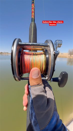 Casting a Level Wind Penn with a Shad#fishing#youtubeshorts#shortvideo#viralvideo#shorts#viral#tips