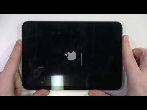 How to Factory Reset APPLE iPad mini (2024)