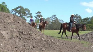 In Pat's lesson this month for the Ride In, Ride Out Touchstone, he tasks riders to trot a Figure 8 pattern with rhythm and straightness. Do YOU know why rhythm and straightness are so important in the saddle? Find out by logging in to parellisavvyclub.com and watching your April Touchstone videos in the Learning Library! | Parelli Natural Horsemanship